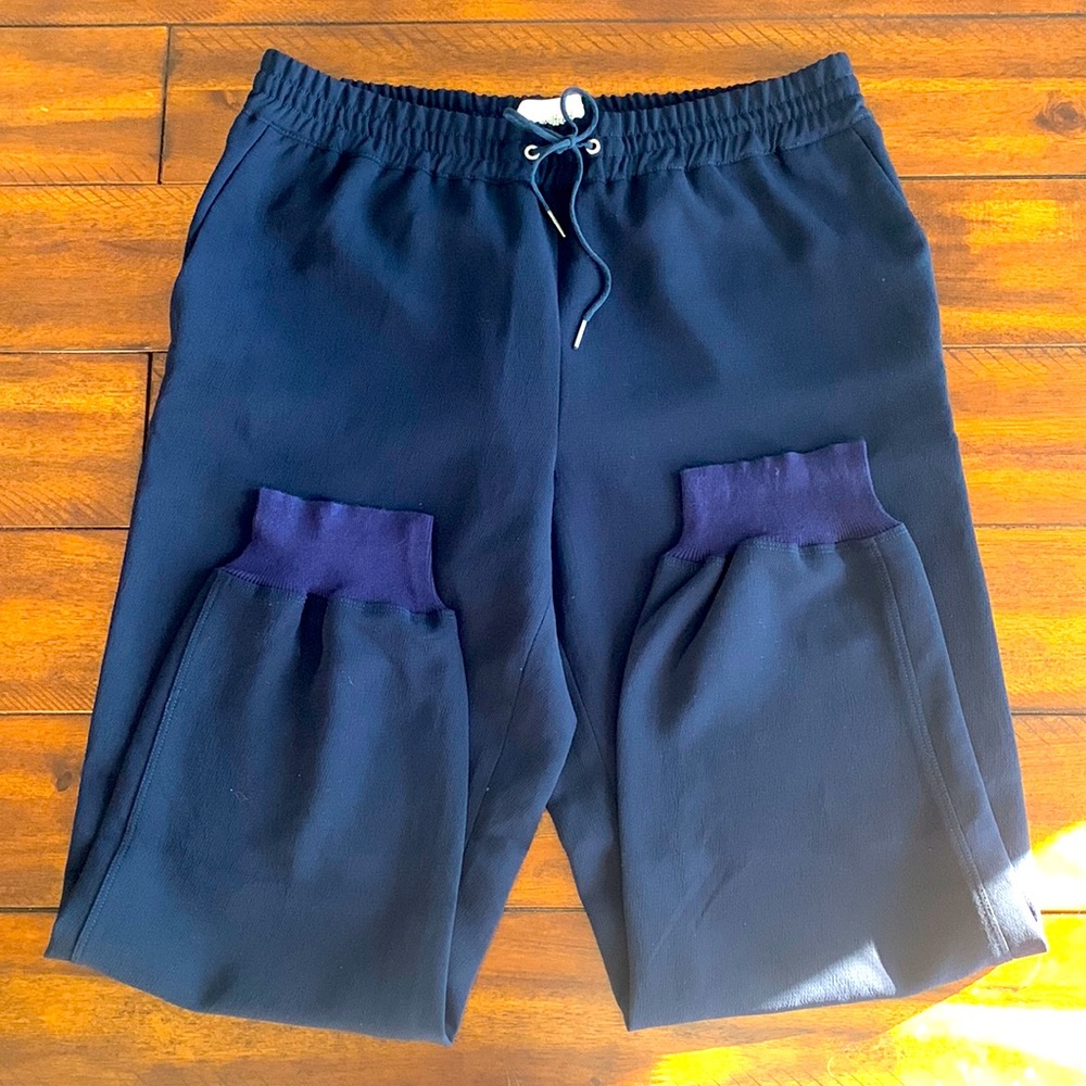 Wilfred Dress Jogger